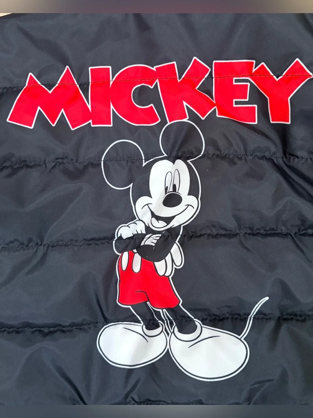 Disney mickey mouse